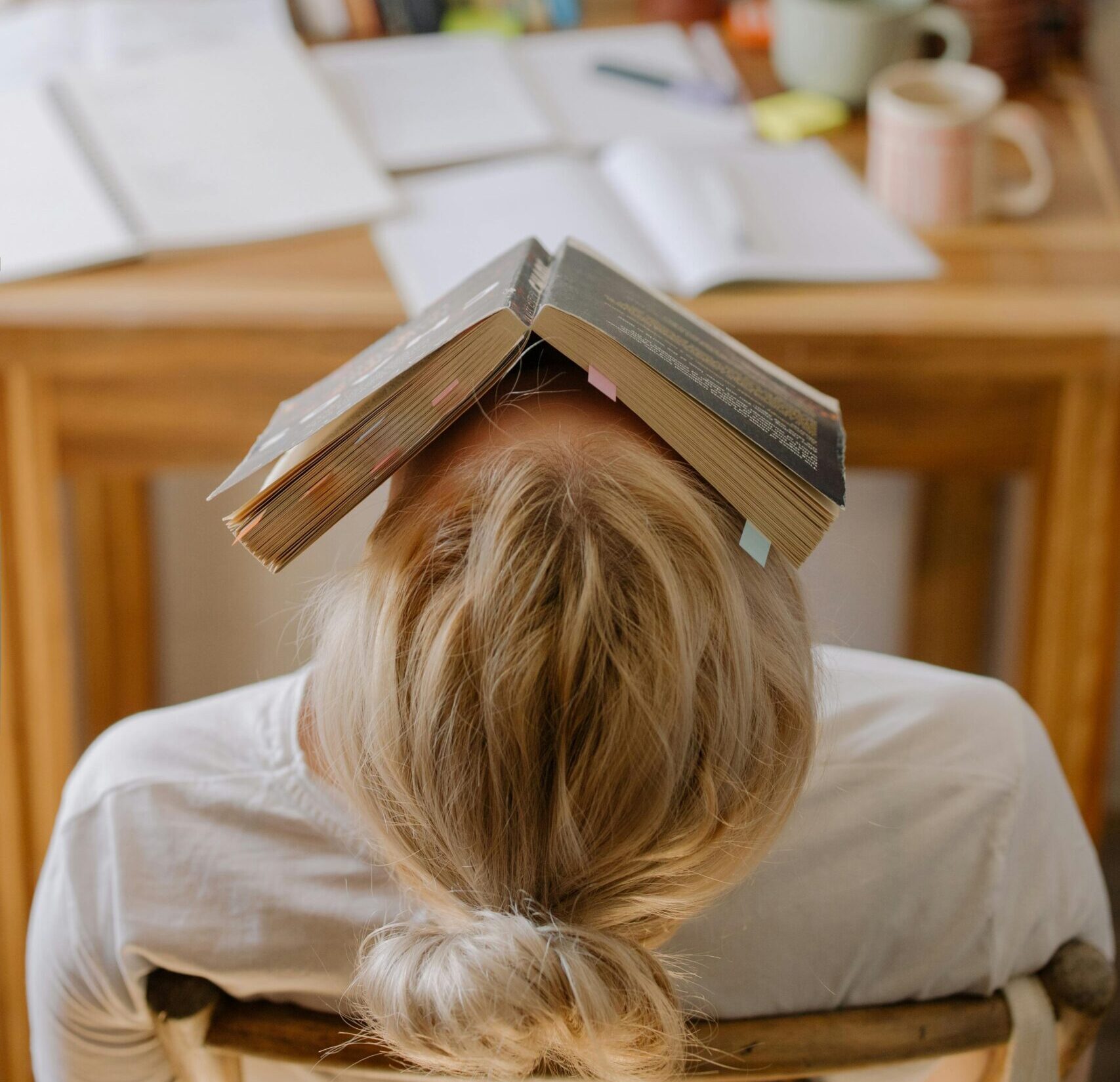 executive-functioning-in-special-education-adhd-and-autism